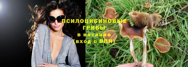 соль курить ск Осташков